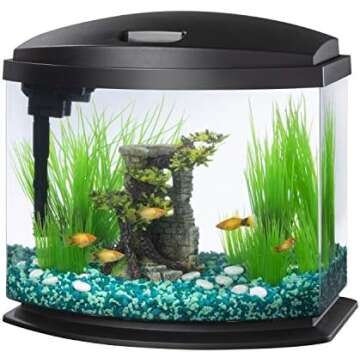 Home Finds- Fish Aquarium