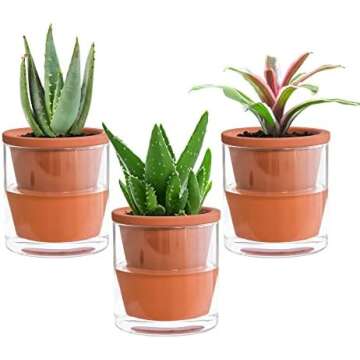 Self watering planters