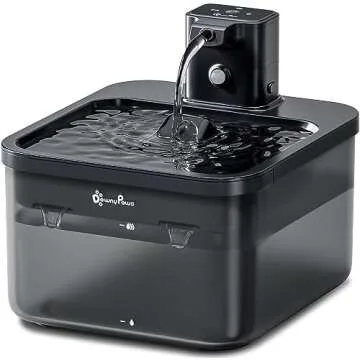 Cats, Dogs and Other Furry Friends