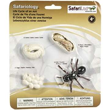 Toys that Teach about Nature Early Childhood learning