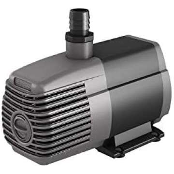 Supplements, Vitamins & Health