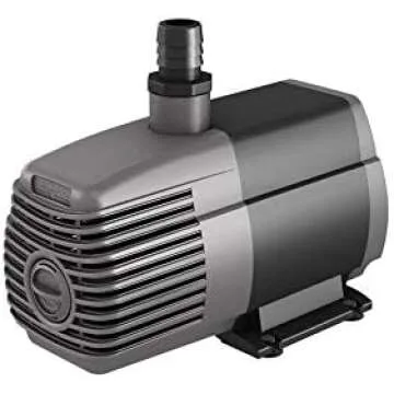 Supplements, Vitamins & Health