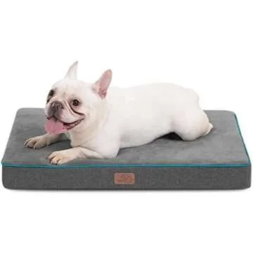 Top 5 Orthopedic & Elevated Pet Beds