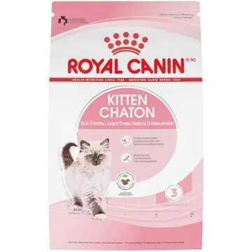 Kitten or Cat, Products to buy before you bring your new kitten home