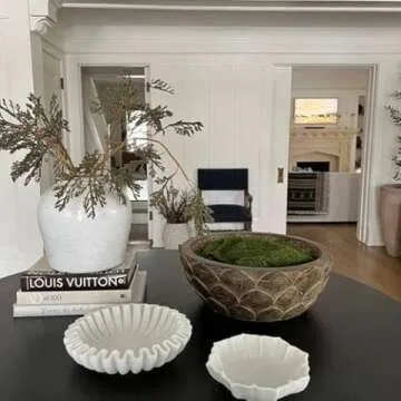 Fresh Finds in Home Products