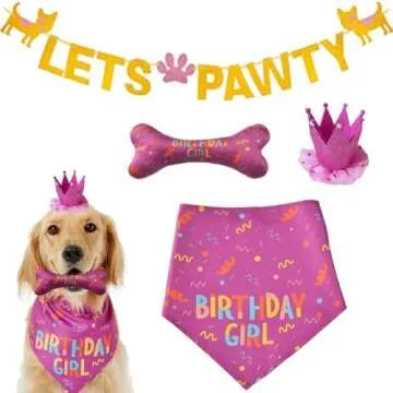 Pawty Time!