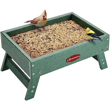 Chicken Enrichment and Treats!