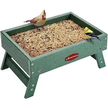 Chicken Enrichment and Treats!