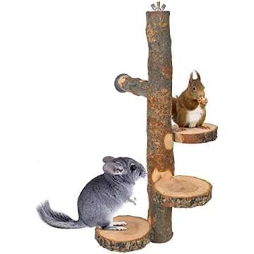 Enclosure & Playtime Enrichment