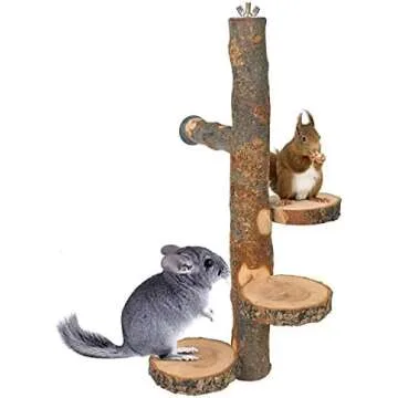 Enclosure & Playtime Enrichment