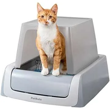 Litter & Litter Boxes