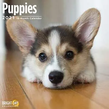 Gifts for Puppies and Dogs