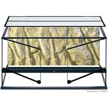 Top 5 Reptiles For Kids