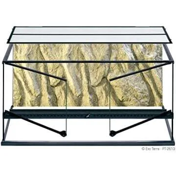 Top 5 Reptiles For Kids