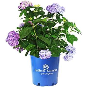 BUSINESS BOOKS I LOVE