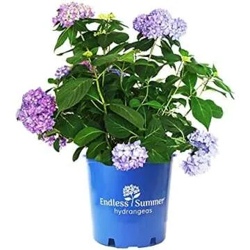 BUSINESS BOOKS I LOVE