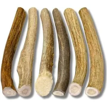 Food- Eats For A Happy Tummy