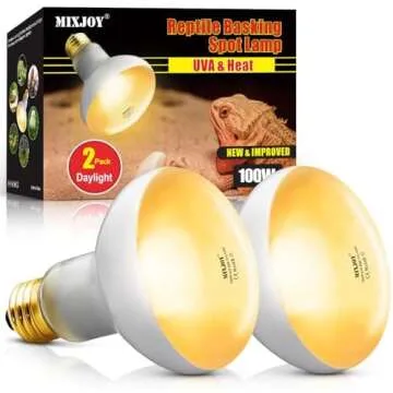 Stuff I use for my chameleon💚