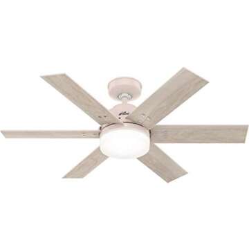 Natalie’s Pink Fan