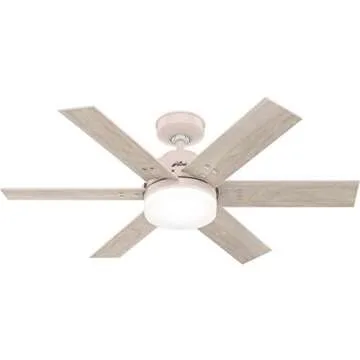 Natalie’s Pink Fan