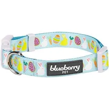 Collars, harnesses & leashes