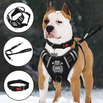 Pet accessories