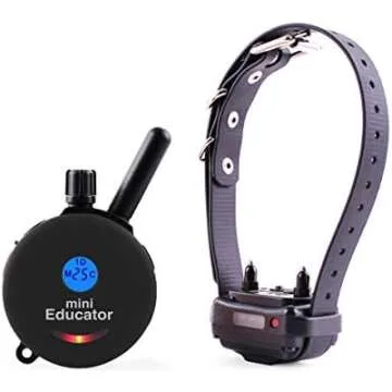 E Collars: Small dogs under 35 lbs