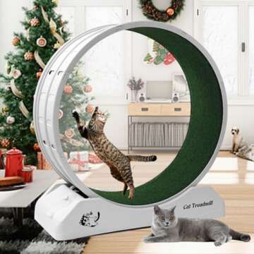 Cat Exercise Wheel