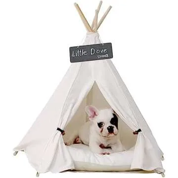 Doggy Dog and other furry friends