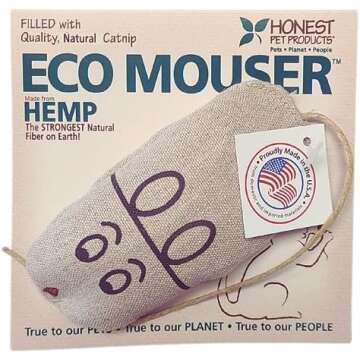 The Best Cat and Kitten Toys