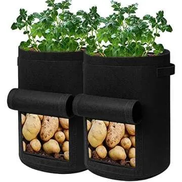 Best Outdoor Summer Playthings for Kids!