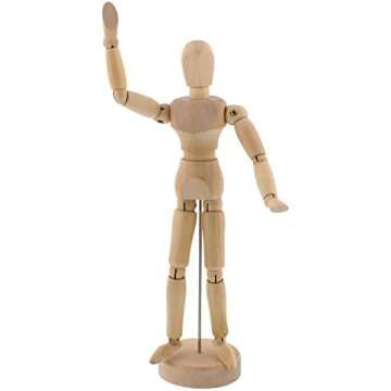 Human Anatomy Toddler Materials & Books