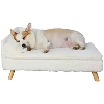 Amazon Century Modern Dog Room Ideas