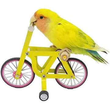 Toys For Parrot Tricks | Juguetes Para Trucos