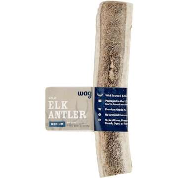 Great Gifts for Pets