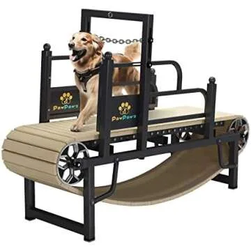 Exclusive Pet Products Finds