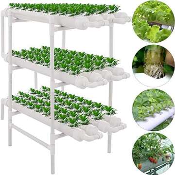 Aquaponics/Hydroponics