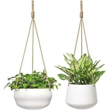 Prime day plant deals