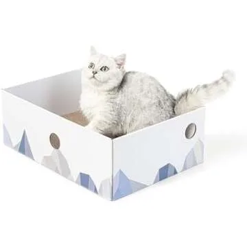 Cat Scratching Furniture