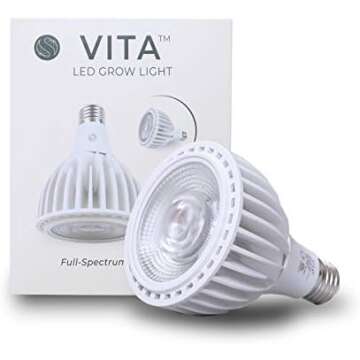 Maria's Favorite Things 2021