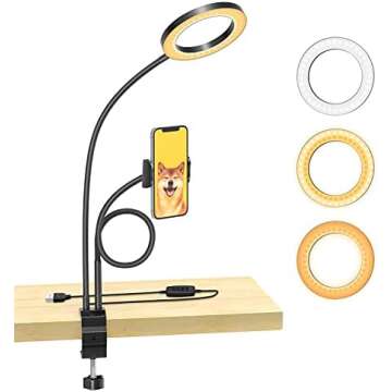 Budget TikTok Desk Setup