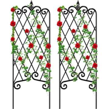 Outdoor & Garden Inspiration