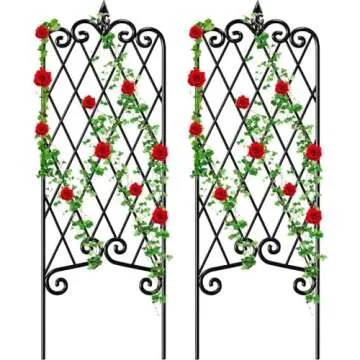 Outdoor & Garden Inspiration