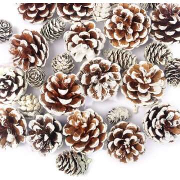 Pinecones Pinecones Pinecones