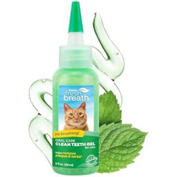 Dental Care Recommendations