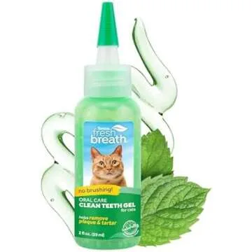 Dental Care Recommendations