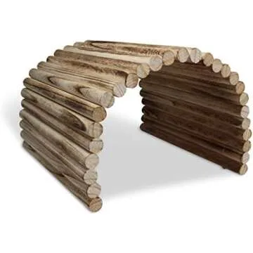 My Guinea pig favorites !🐹