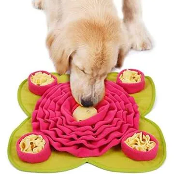 Dog Enrichment Toys
