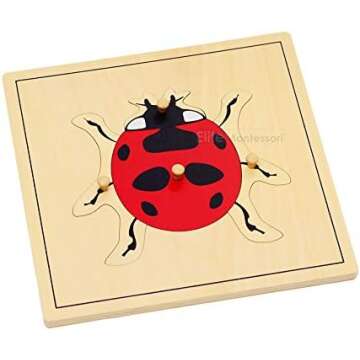Ladybug Books & Toys