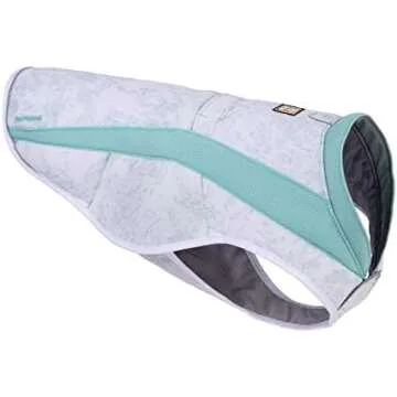 Summer Essentials For Dogs